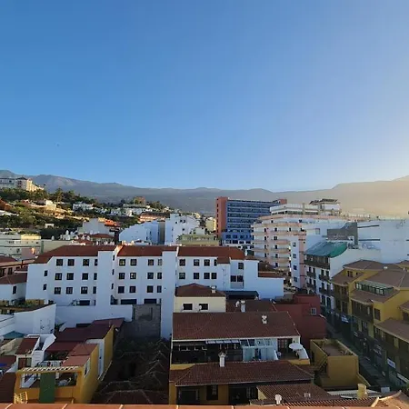 Girasol Puerto de la Cruz (Tenerife)