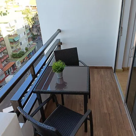 Girasol * Puerto de la Cruz (Tenerife)