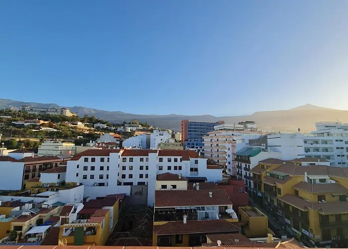 Girasol Puerto de la Cruz (Tenerife)