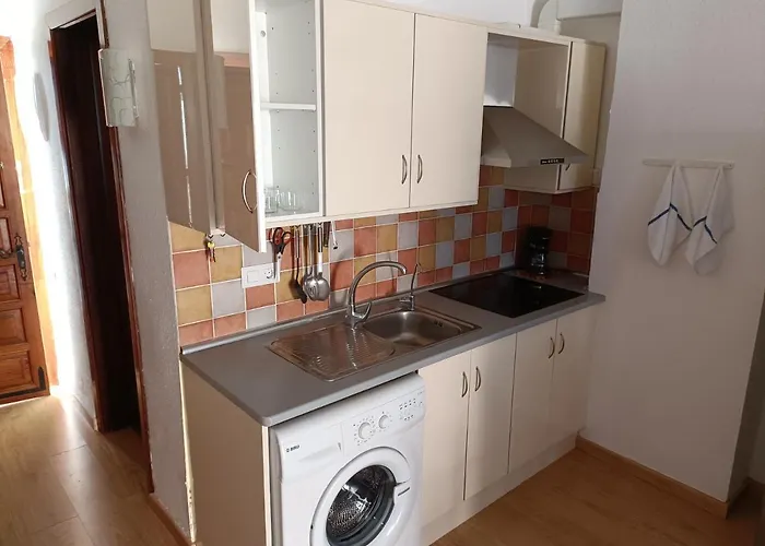 Girasol * Puerto de la Cruz (Tenerife)